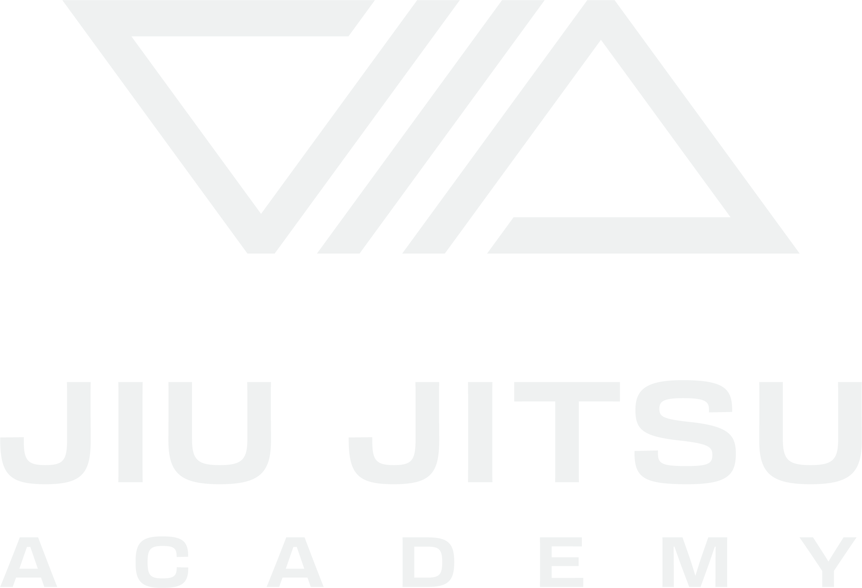 VIA Jiu Jitsu Academy